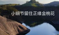 小细节留住正缘金桃花