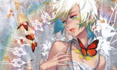 云雁姓名评分98分