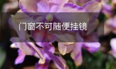 门窗不可随便挂镜