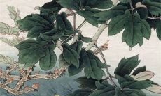 2022年农历八月初三是乔迁吉日吗 可不可以搬家入宅