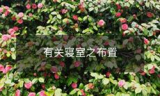 有关寝室之布置