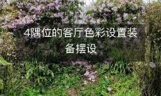 4隅位的客厅色彩设置装备摆设