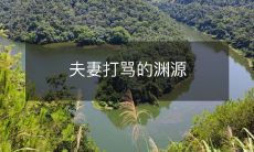 夫妻打骂的渊源