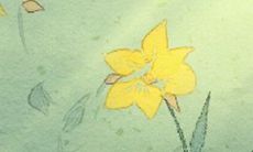 南方春节习俗都有哪些？有什么不同？