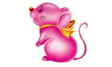 2022年生肖属鼠人适合穿衣的颜色