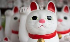 2021年5月16日是开张吉日吗 是开张吉日吗