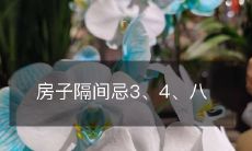 房子隔间忌3、4、八