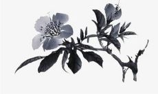 办公室聚财摆设布置 摆放鱼缸招财旺财