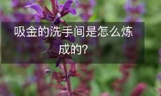 吸金的洗手间是怎么炼成的?