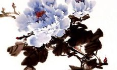 办公室最旺植物 摆放水仙花有利于招财