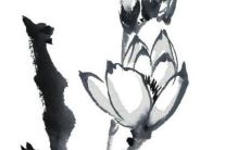 多人办公桌选哪个位置好 西北方为“干”卦之位像征主事之人