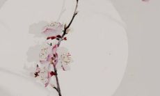 办公桌朝向的最佳方位 坐东向西适合投资