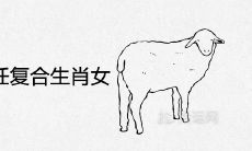 2022年必和前任复合的生肖女 有望追回旧爱的属相