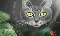 内地男星:井柏然的星座是哪个?