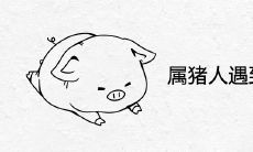 属猪人遇到几次真爱 一生有几次婚姻