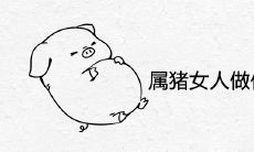 属猪的女人做什么生意最旺