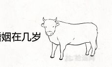 73年属牛二次婚姻在几岁 离婚后再婚的年龄