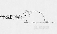 96年属鼠正缘是什么时候 姻缘在哪年