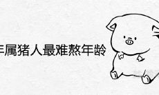 1995年属猪人最难熬年龄在哪几年