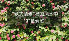 “欧式装修”易范风水中的“墓碑煞”