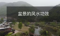 盆景的风水功效