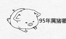95年属猪哪年遇到另一半