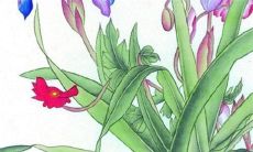 2022年10月4日重阳节适合出门吗 是出行吉日吗