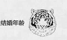 1998属虎最佳结婚年龄