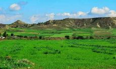 属蛇和属鼠的八字合不合