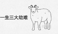 79年属羊的一生三大劫难在什么时候