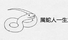 属蛇人一生发财的年龄是多大 财运最好的年纪