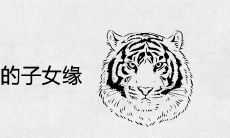 1986年属虎女的子女缘