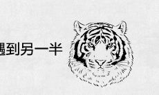 98年属虎哪年遇到另一半