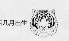 2022年属虎的宝宝几月出生好