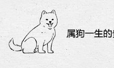 属狗一生的贵人和克星生肖