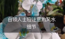 白领人士应注意的风水细节