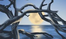 麦玲玲2017年属马人的运势详解大全