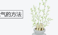 增加运气的方法