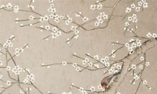 2022年11月2日提车日子好吗 日子好不好