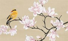 2022年11月4日提车好不好 是提新车的大吉日子吗