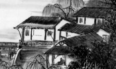 2022年11月里生肖猪事业运势分析 诸事不顺好好调节