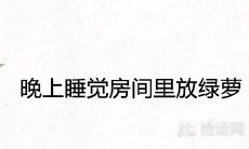 晚上睡觉房间里能不能放绿萝