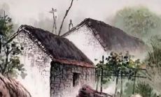 22虎年11月属狗人职场中运气如何 运势长虹功成名就