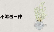 送人水果不能送三种 去别人家买水果买几样