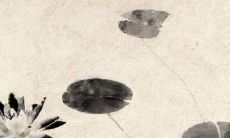 2022年11月3日有哪些特吉生肖 今日生肖冲煞情况