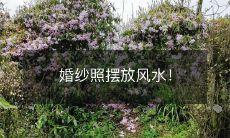 婚纱照摆放风水!