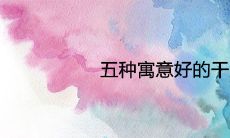 五种寓意好的干果