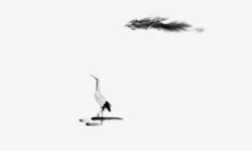 22寅虎年11月属虎人事业有贵人吗 好运连连大展宏图