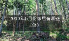 2013年5月份家居有哪些凶位