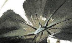 2022壬寅年属兔人11月事业大利方位 小心谨慎有所回报